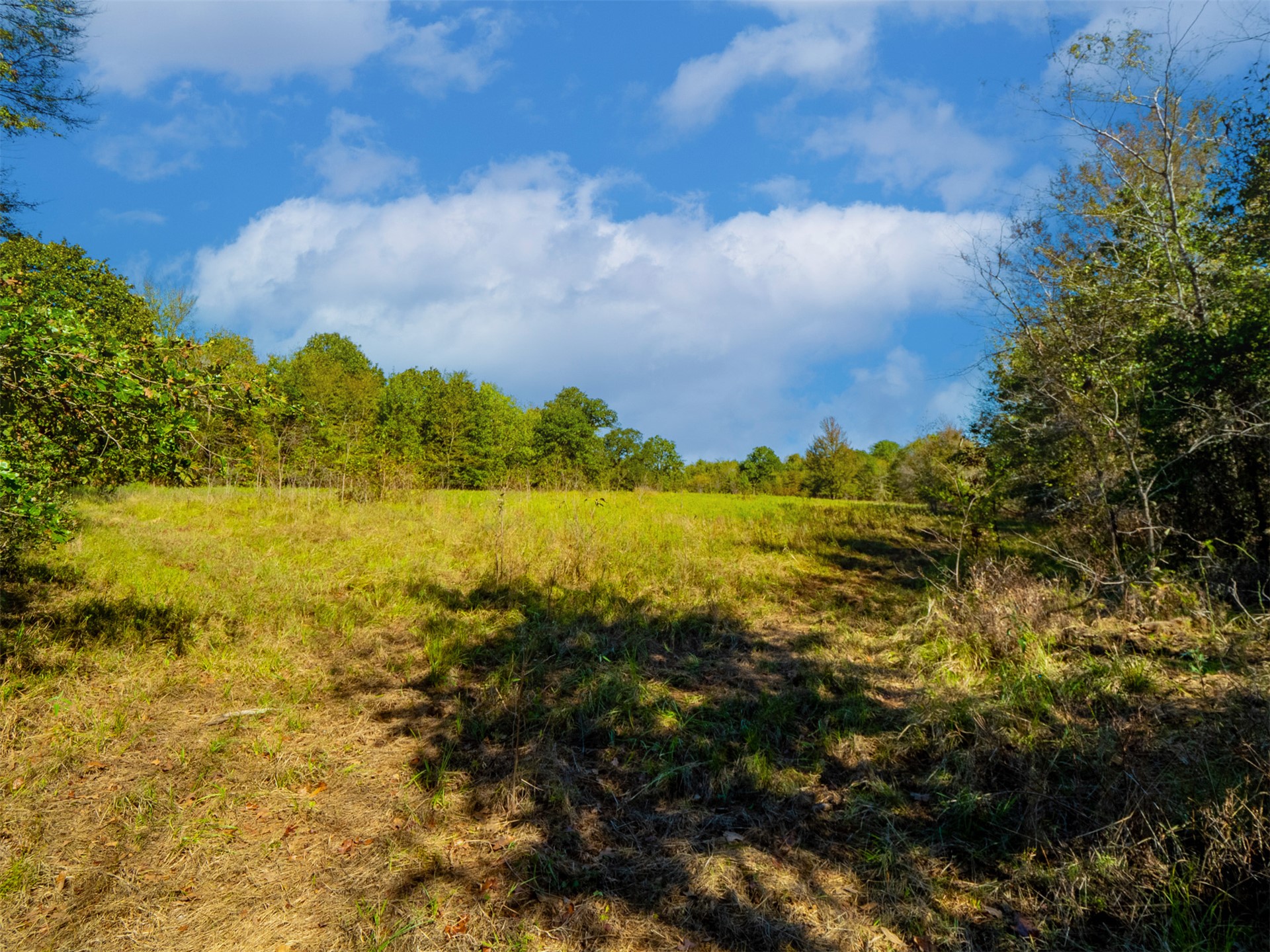 1599 N 4010 Road Boswell OK 74727