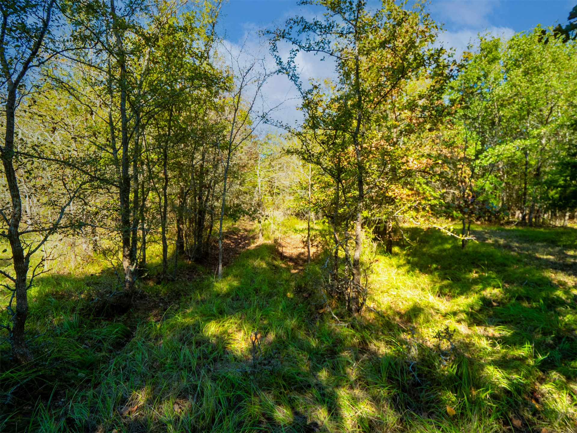 1599 N 4010 Road Boswell OK 74727