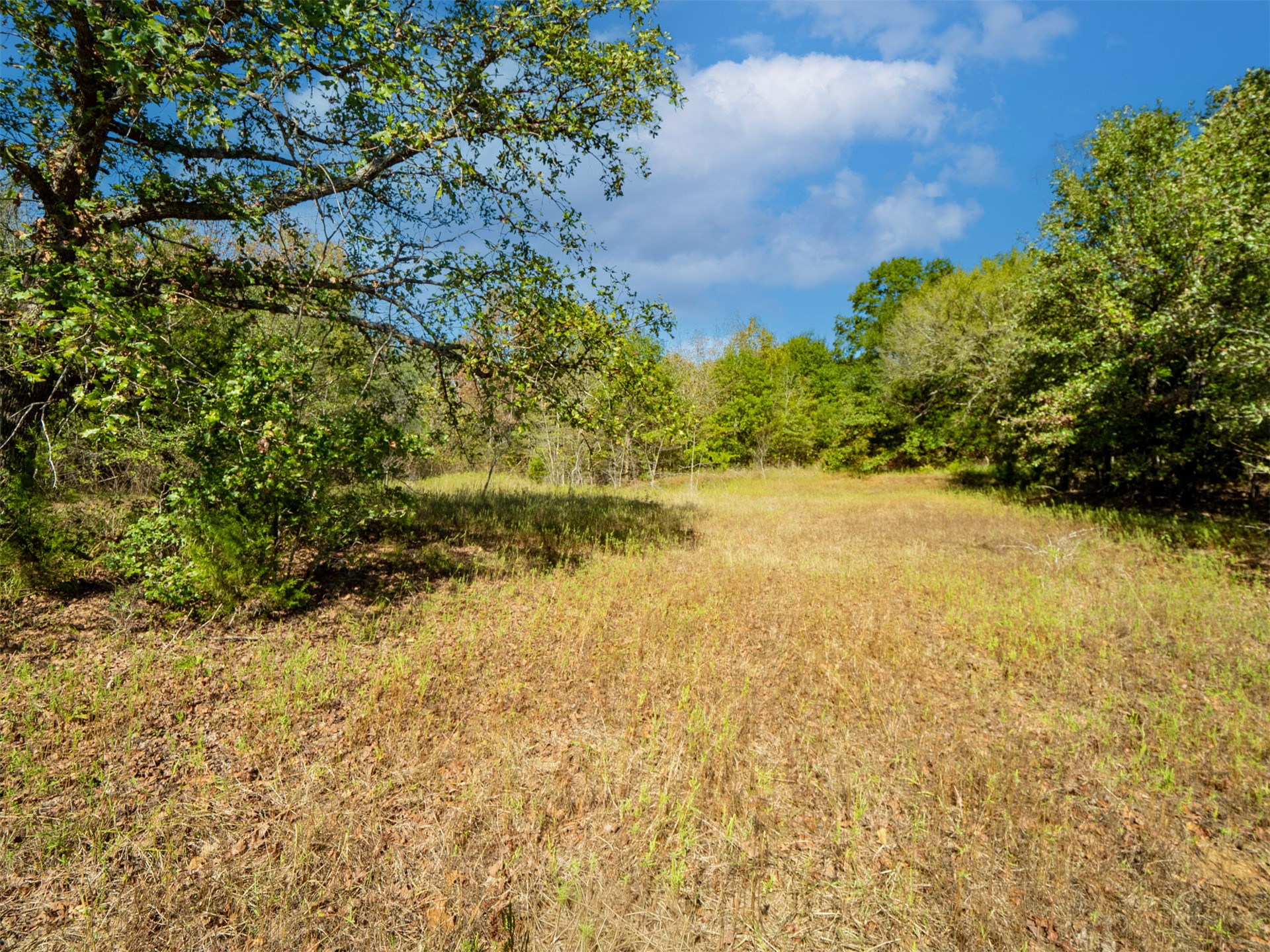 1599 N 4010 Road Boswell OK 74727