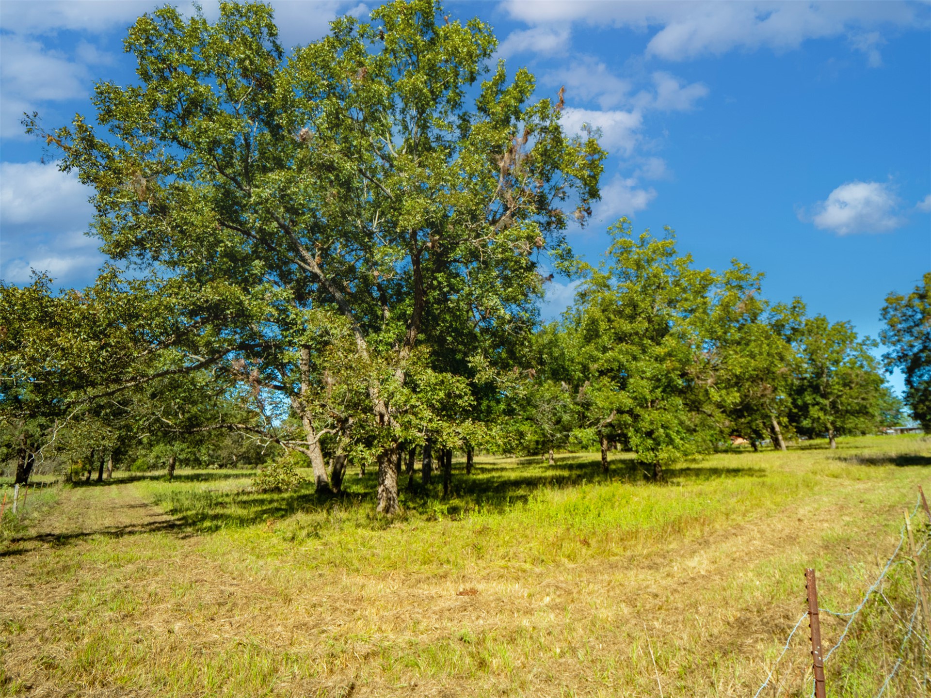 1599 N 4010 Road Boswell OK 74727