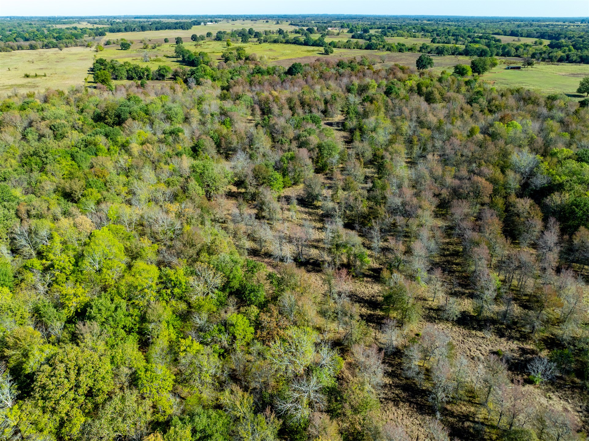 1599 N 4010 Road Boswell OK 74727