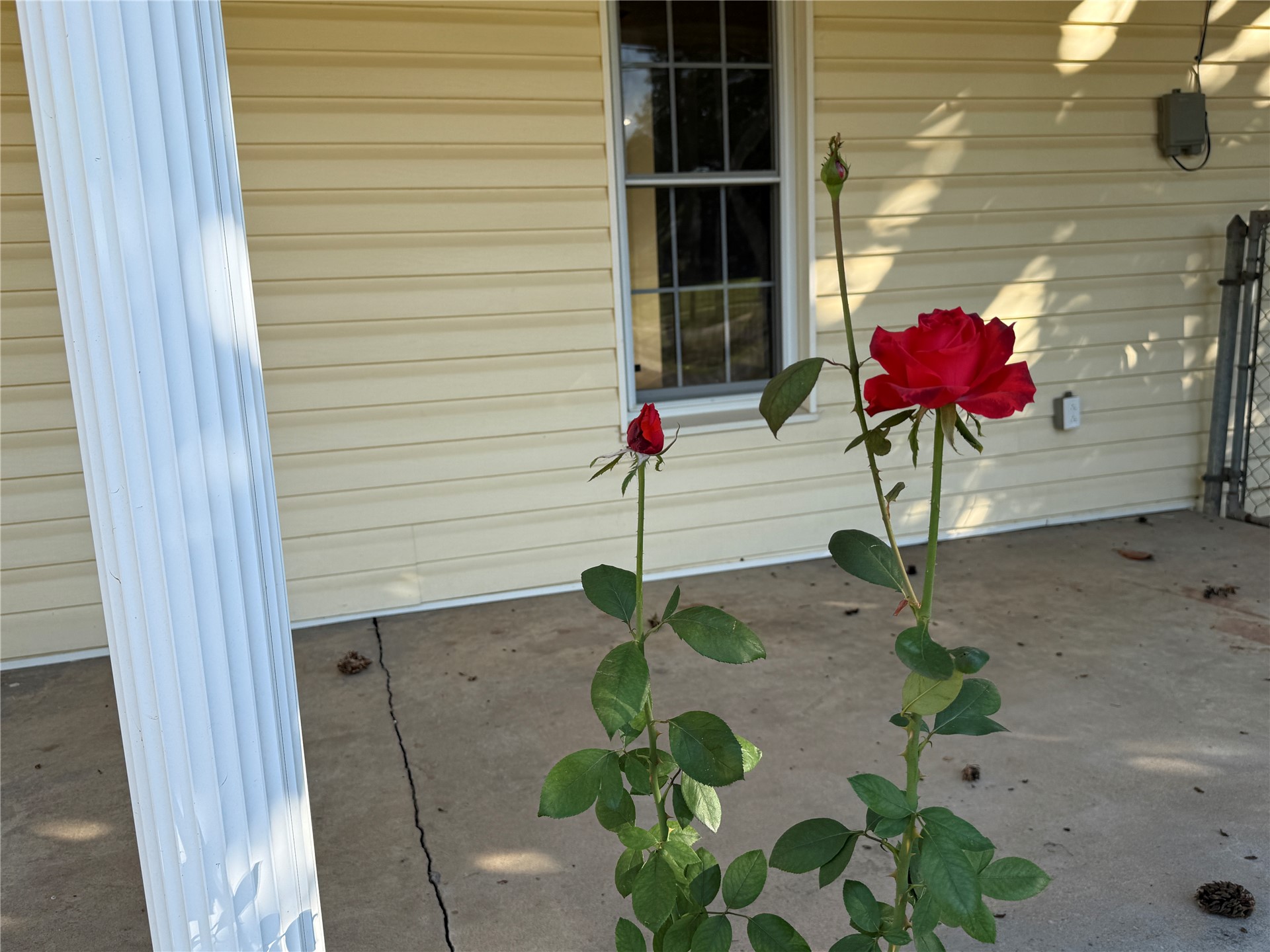 504 SW 1st Street Checotah OK 74426