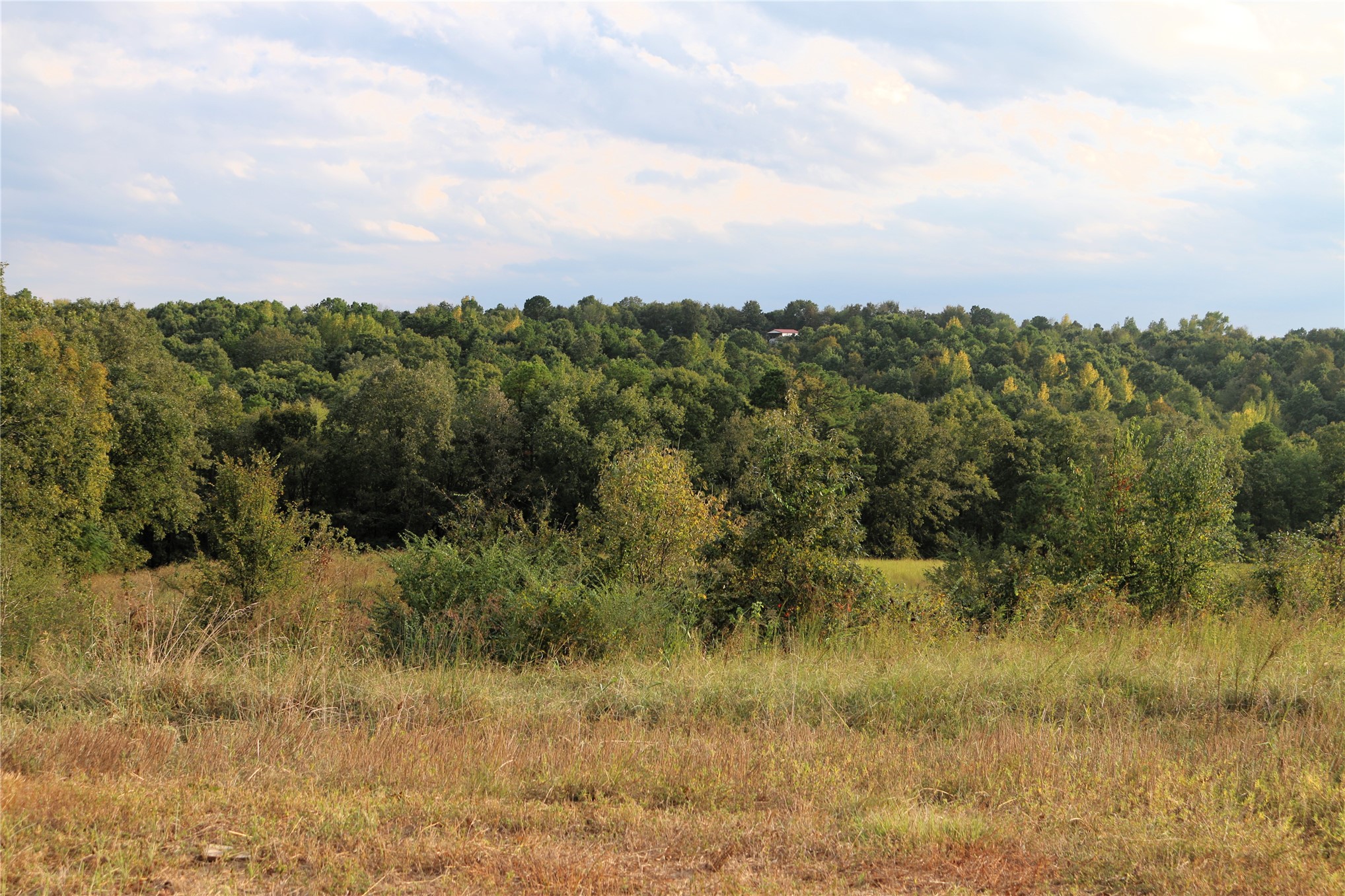 4746 Hwy 4 Highway Smithville OK 74957