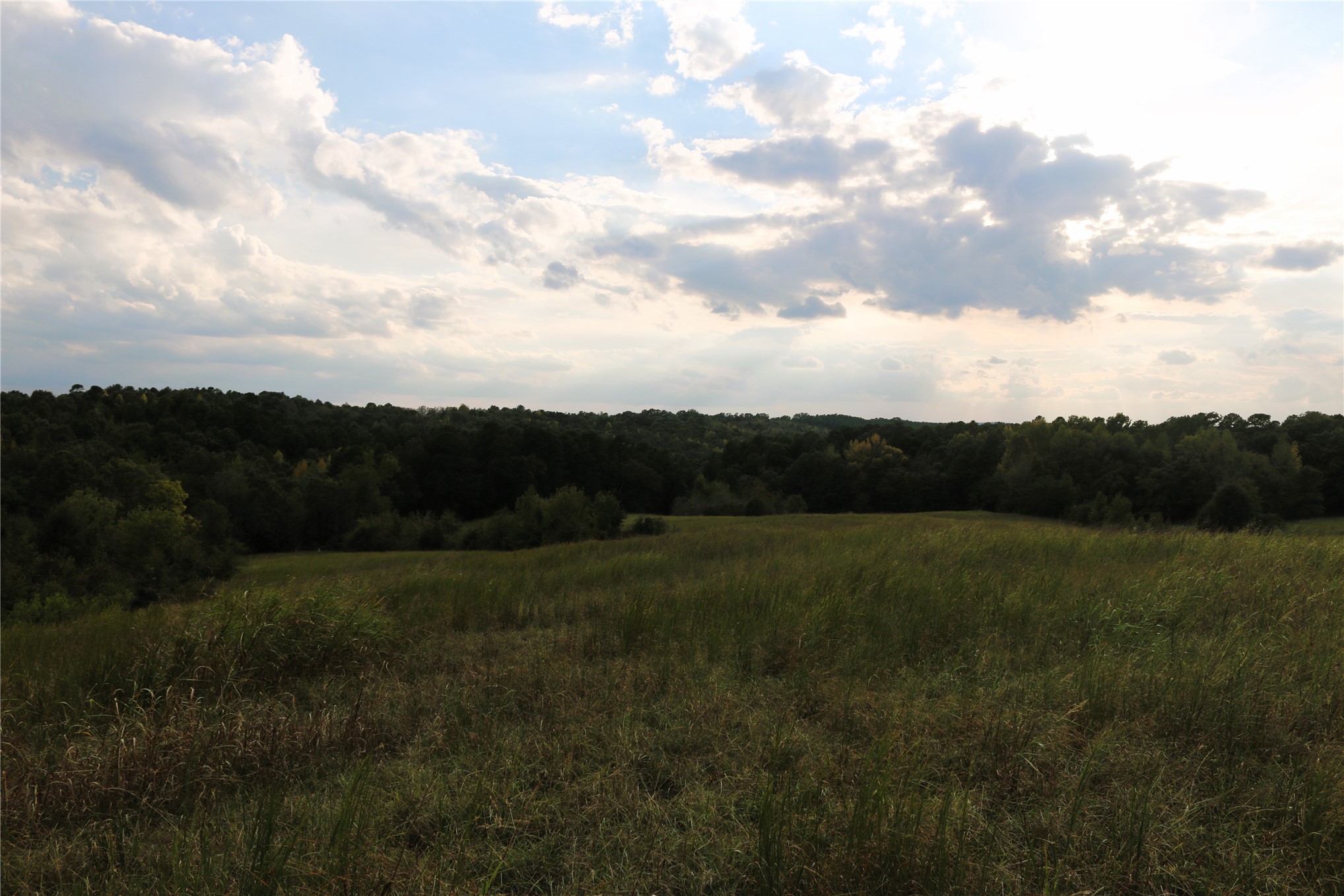 4746 Hwy 4 Highway Smithville OK 74957