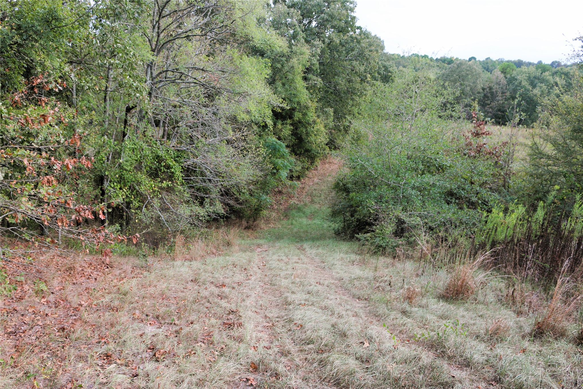4746 Hwy 4 Highway Smithville OK 74957