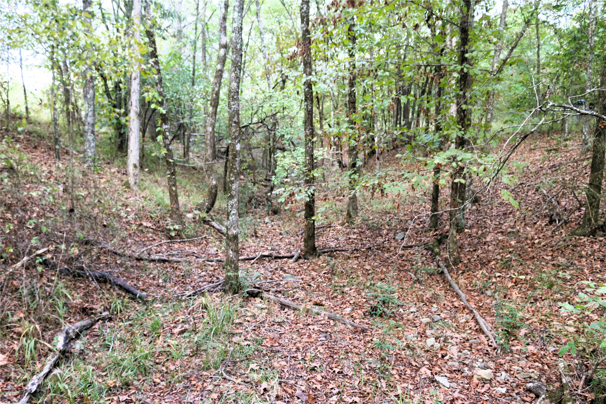 4746 Hwy 4 Highway Smithville OK 74957