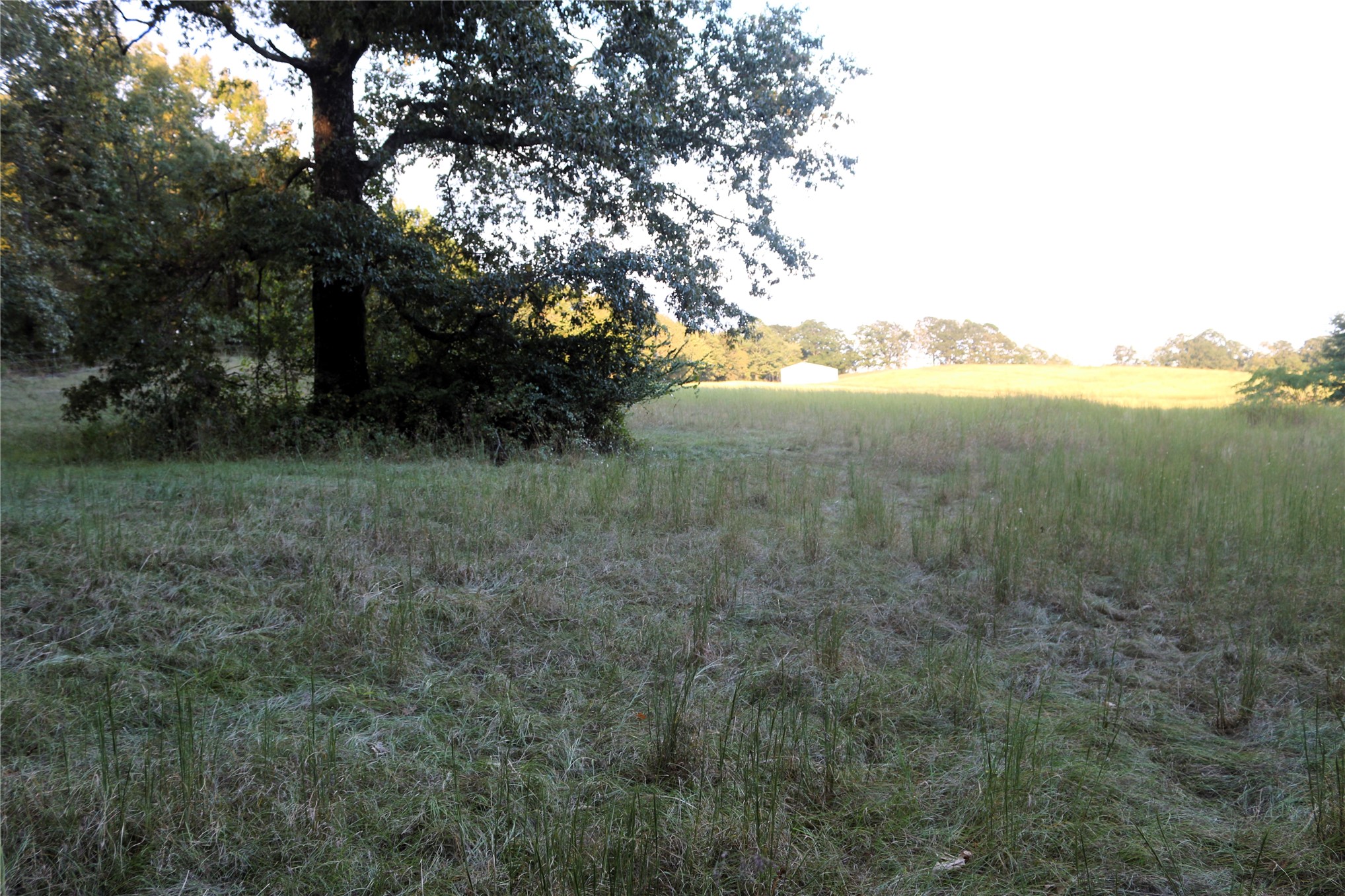 4746 Hwy 4 Highway Smithville OK 74957