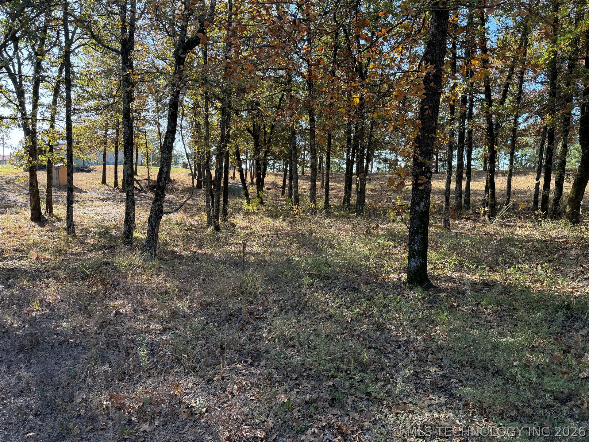 15552 S Highway 109a Boswell OK 74727