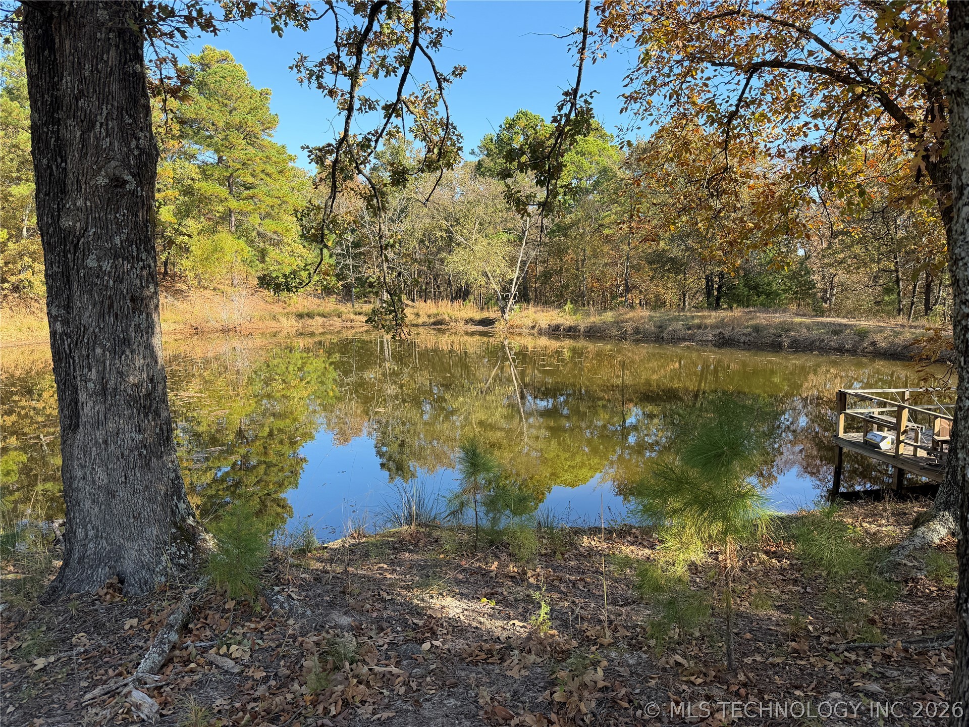 15552 S Highway 109a Boswell OK 74727