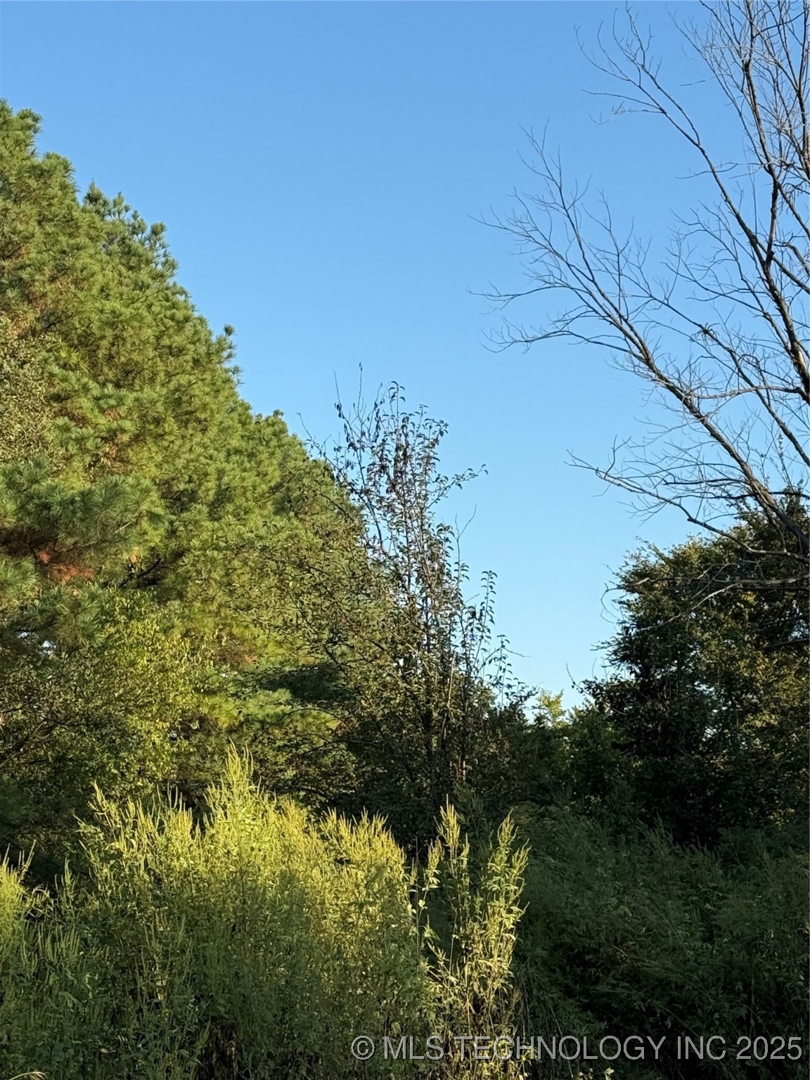 2048 Mockingbird Ardmore OK 73401