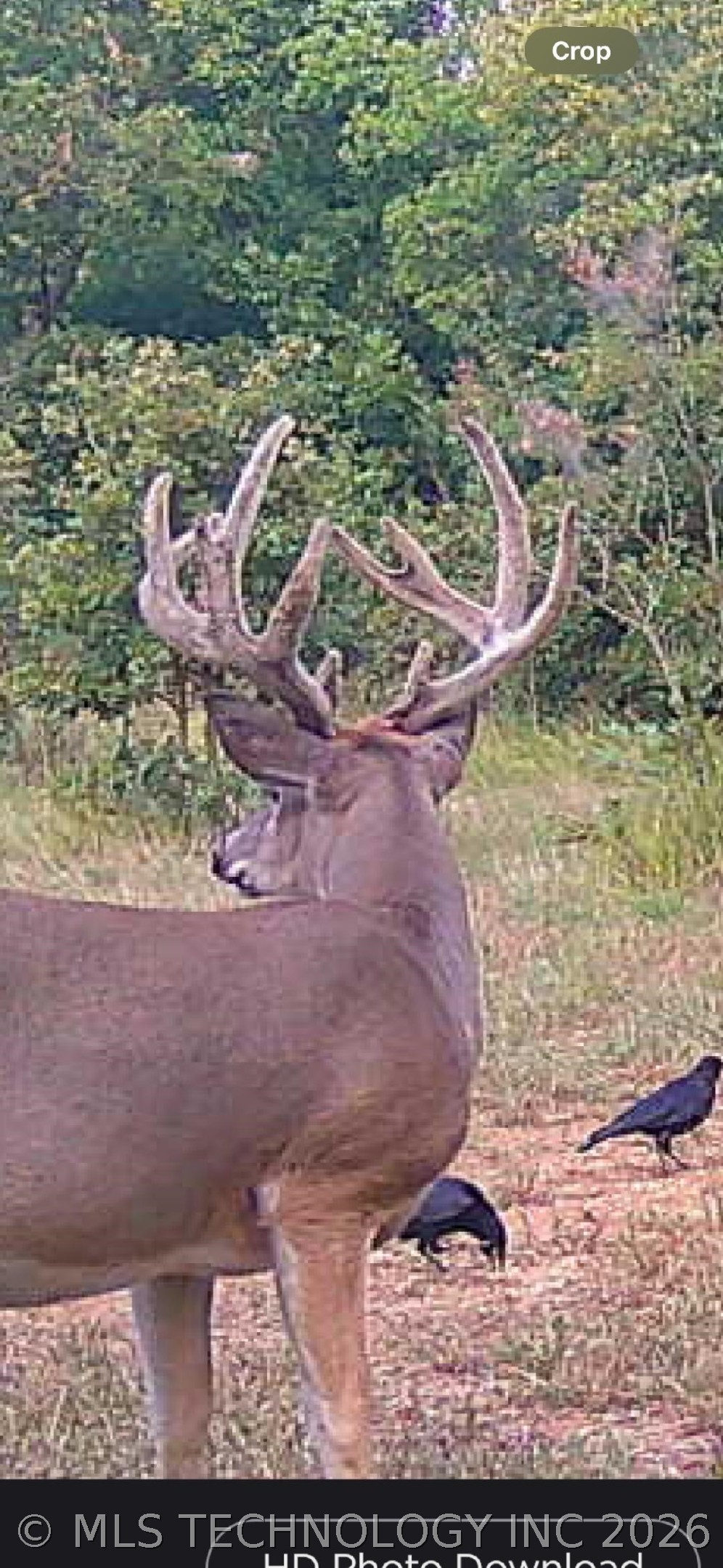 44532 35500 Road Pawnee OK 74058