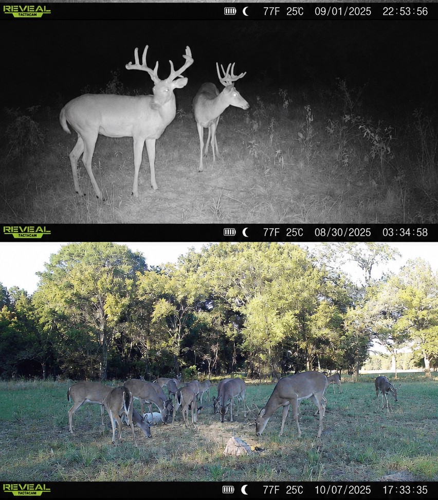38987 Leo Road Asher OK 74826
