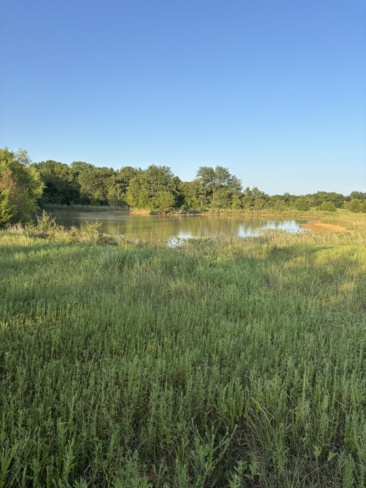 28584 County Road 1580 Allen OK 74825