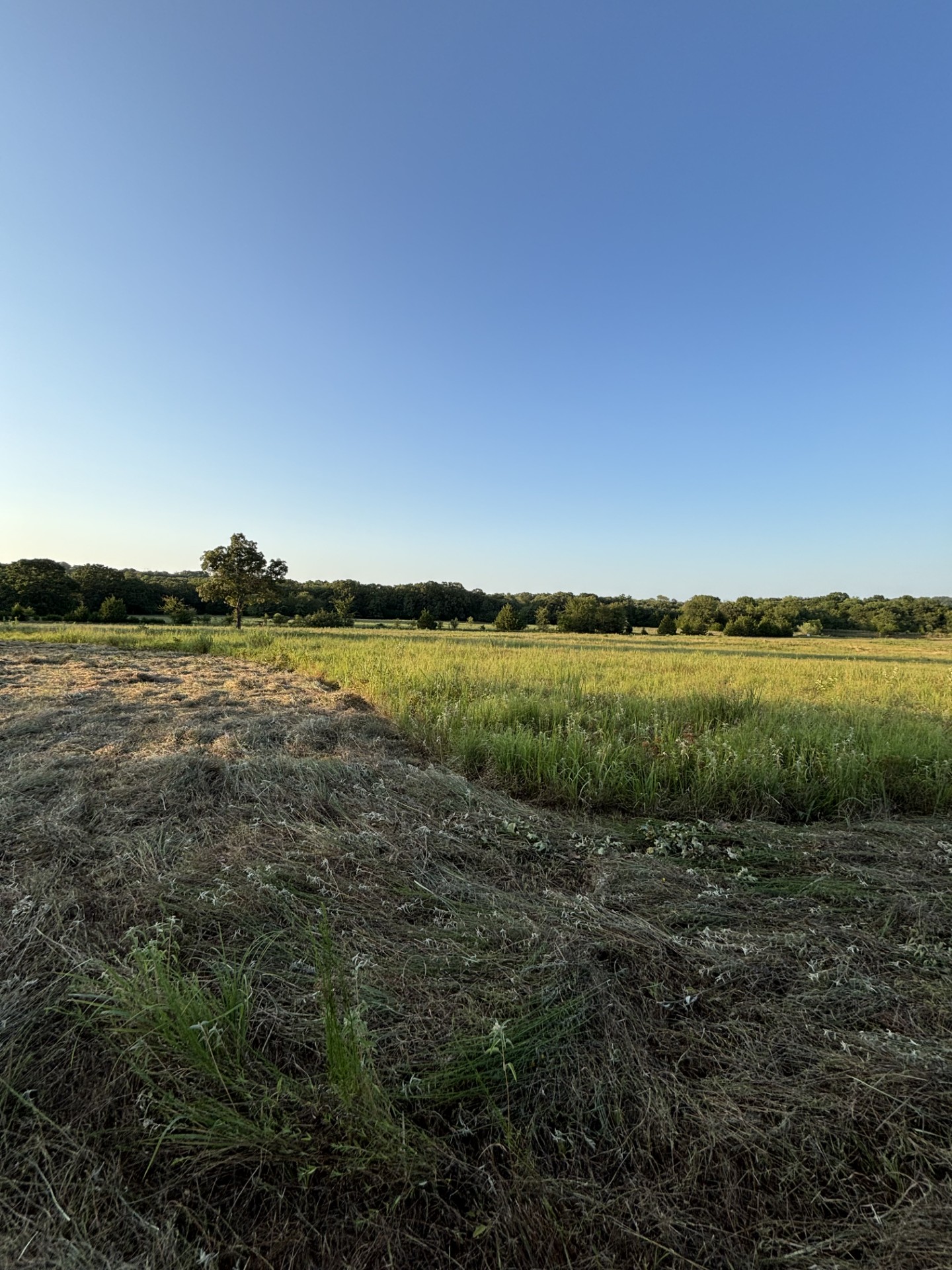 28584 County Road 1580 Allen OK 74825