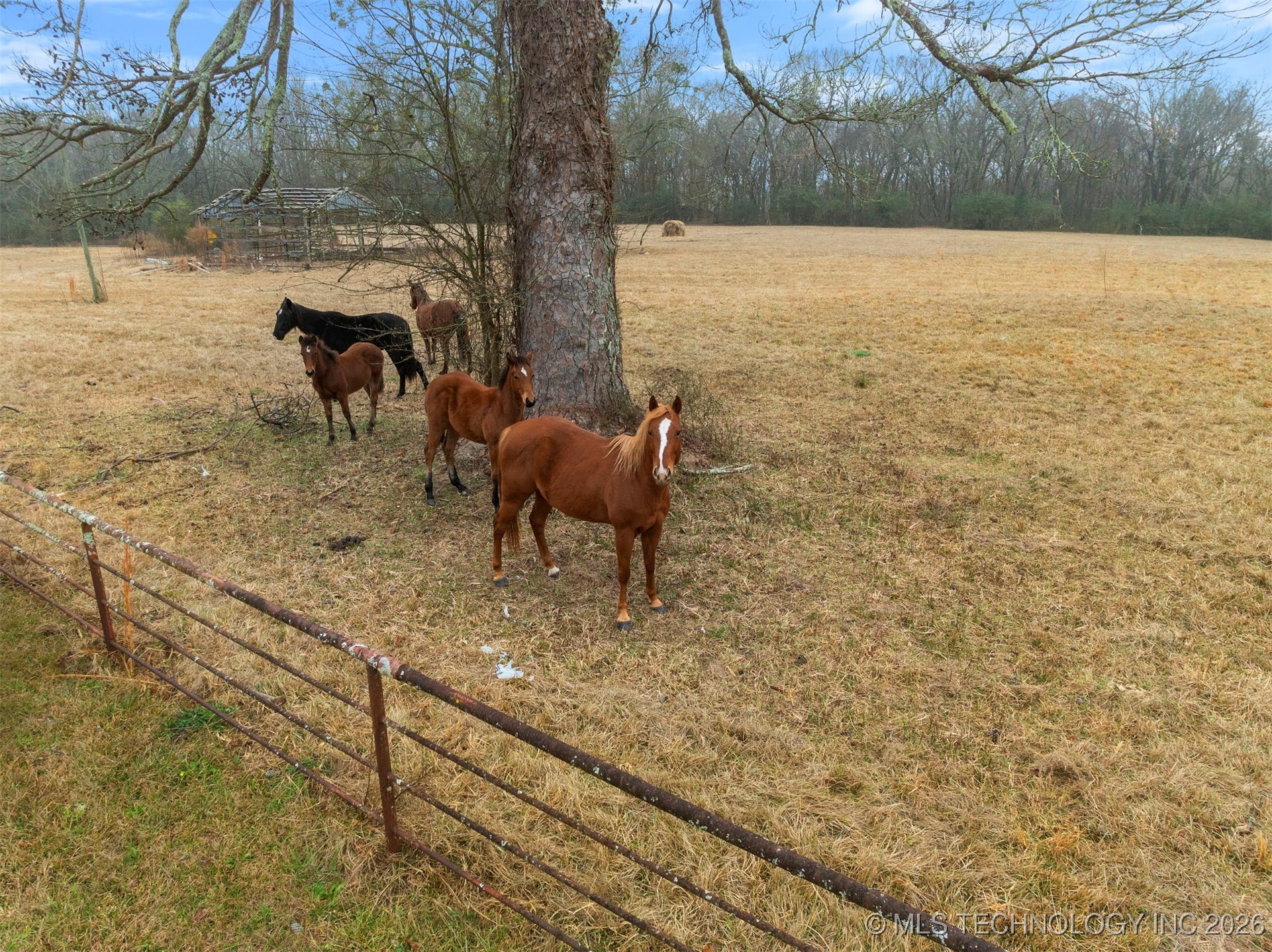 273 Main Street Eagletown OK 74734