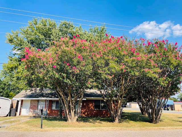102 N Collins Street Colbert OK 74733
