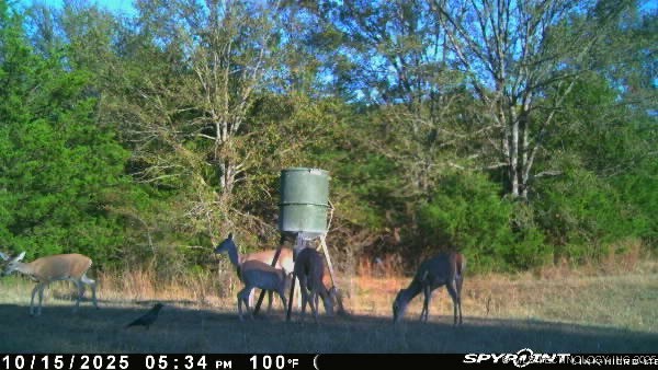 10450 County Road 1490 Road Ada OK 74820