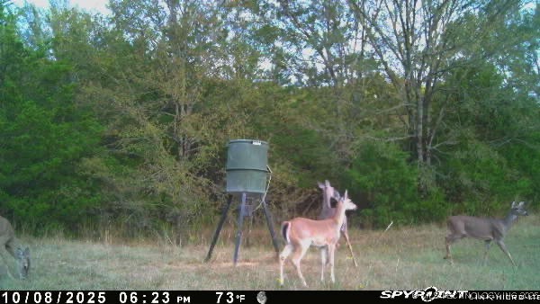 10450 County Road 1490 Road Ada OK 74820