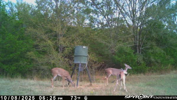 10450 County Road 1490 Road Ada OK 74820