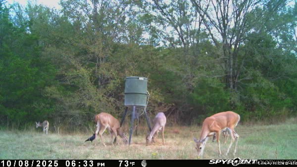 10450 County Road 1490 Road Ada OK 74820