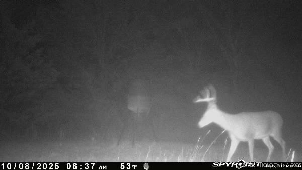 10450 County Road 1490 Road Ada OK 74820