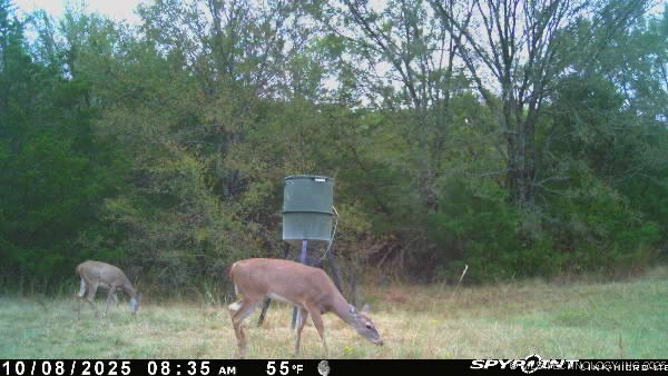 10450 County Road 1490 Road Ada OK 74820