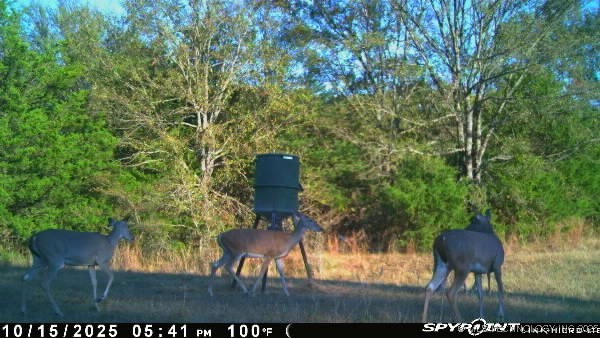 10450 County Road 1490 Road Ada OK 74820