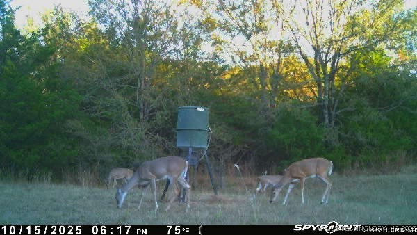 10450 County Road 1490 Road Ada OK 74820