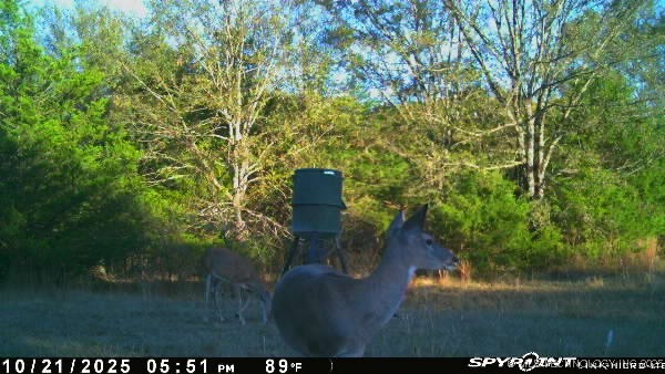 10450 County Road 1490 Road Ada OK 74820