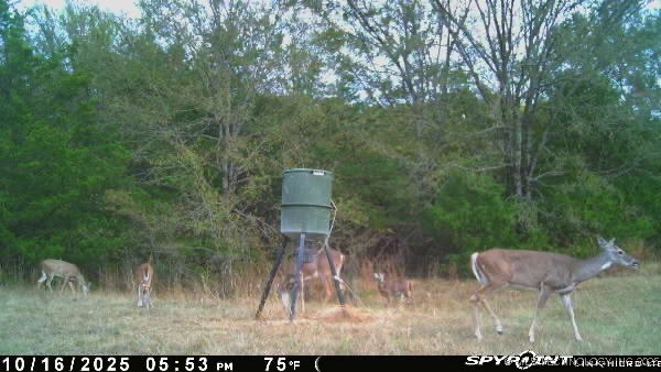 10450 County Road 1490 Road Ada OK 74820