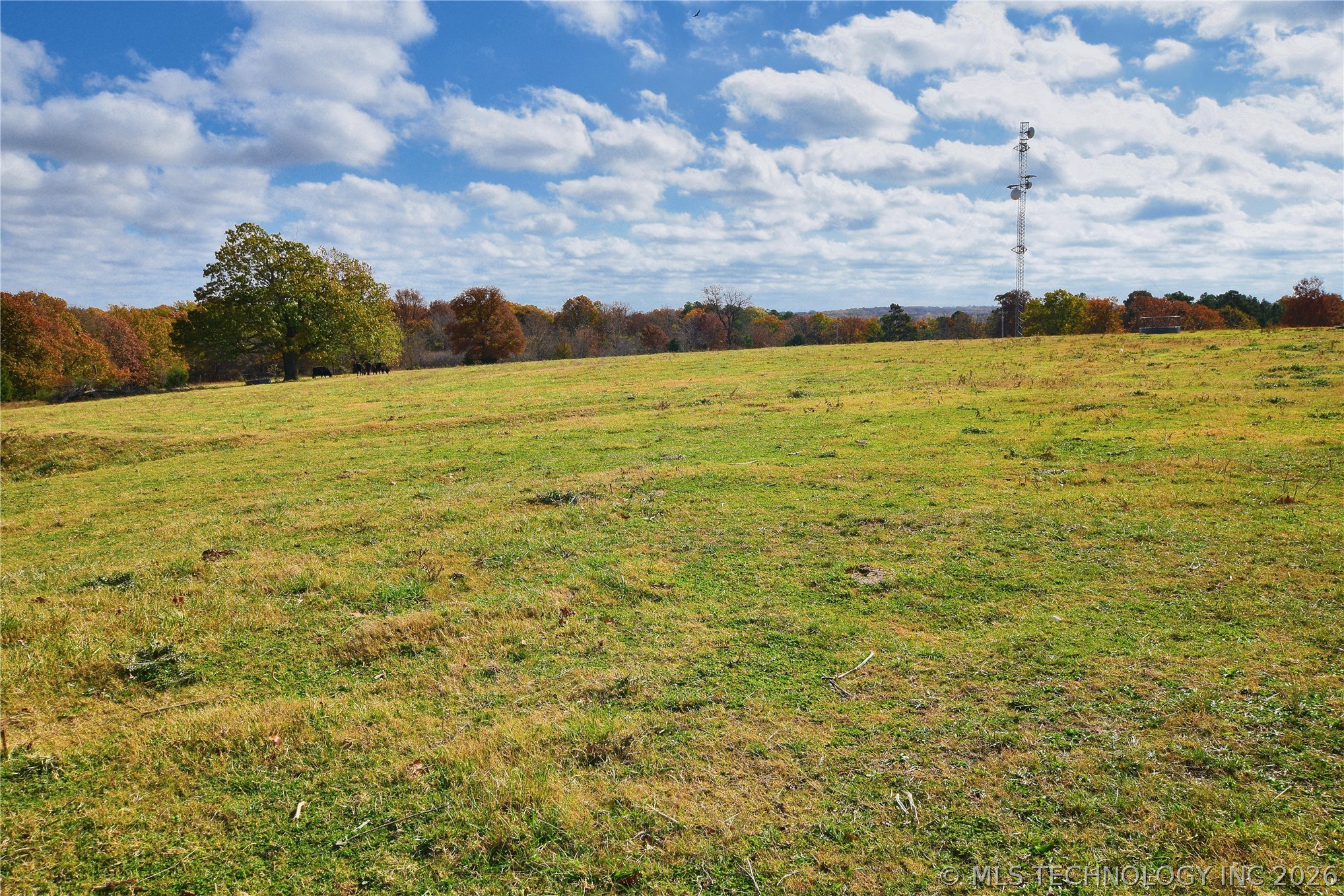 5747 E 620 Road Locust Grove OK 74352