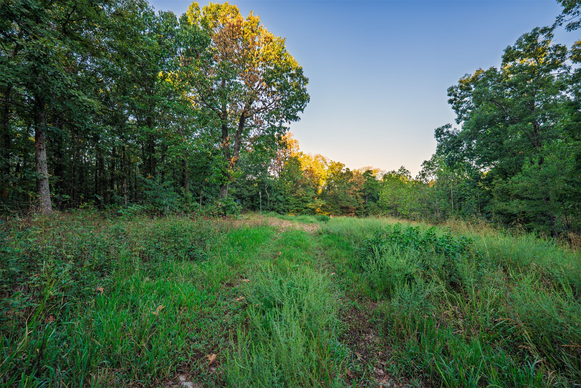 21501 S 705 Road Wyandotte OK 74370