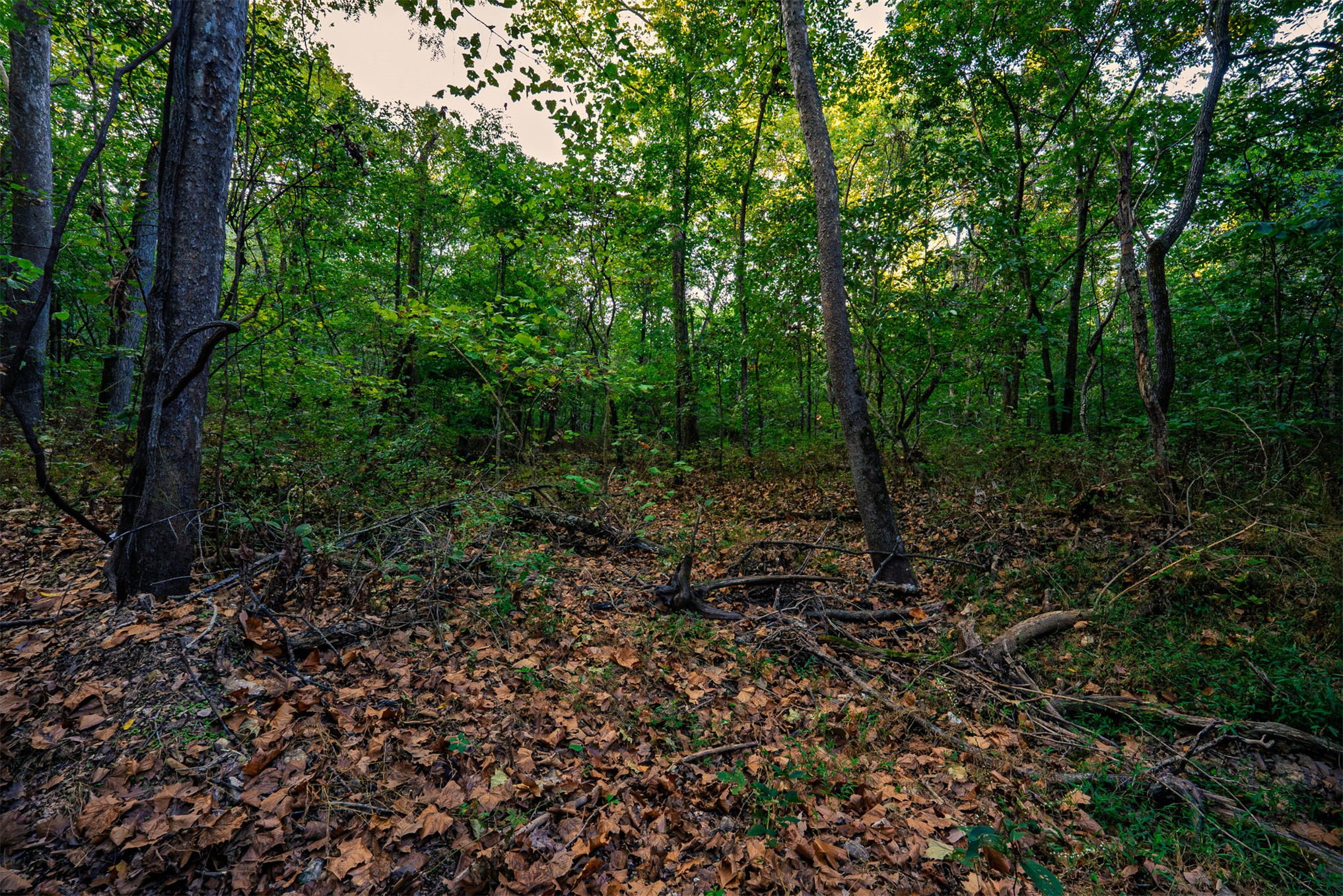 21501 S 705 Road Wyandotte OK 74370