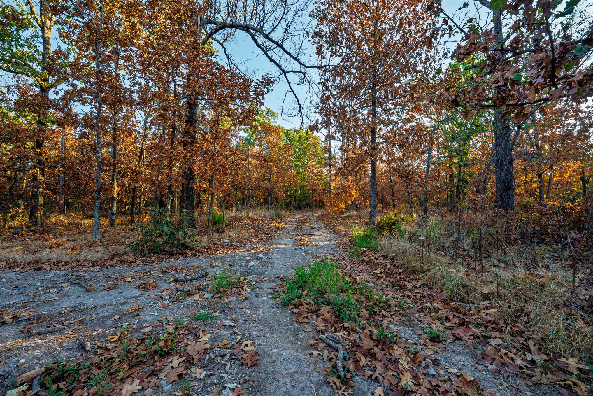 21501 S 705 Road Wyandotte OK 74370