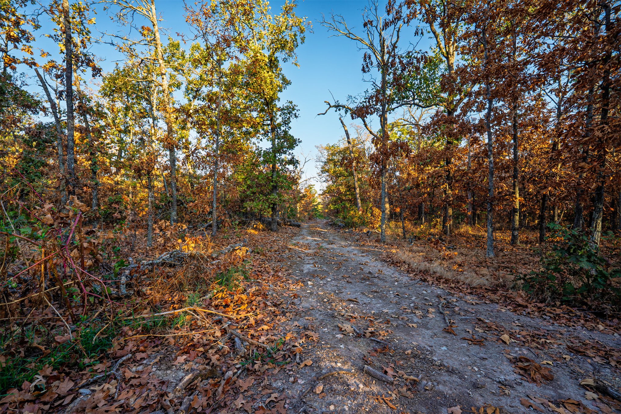 21501 S 705 Road Wyandotte OK 74370