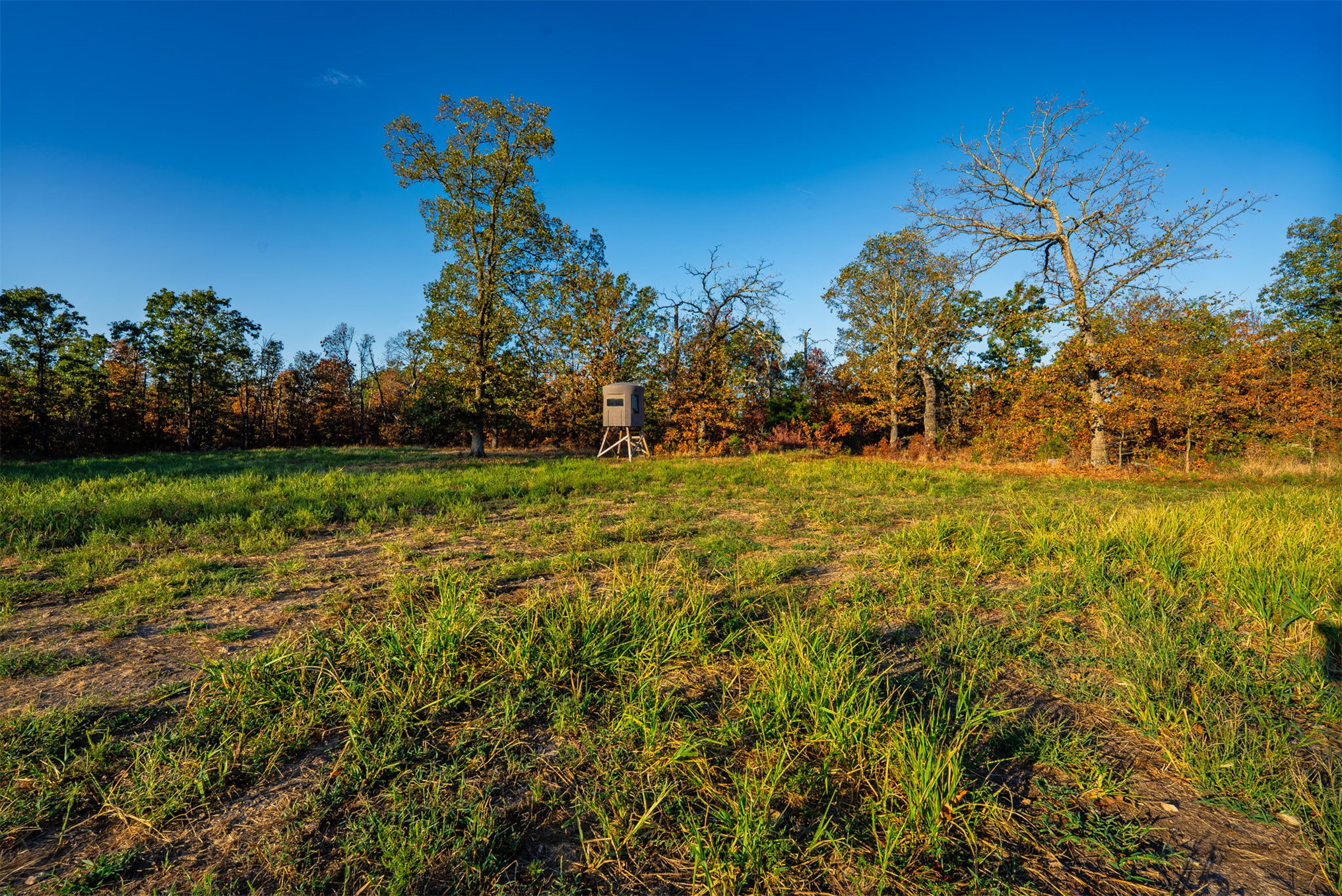 21501 S 705 Road Wyandotte OK 74370