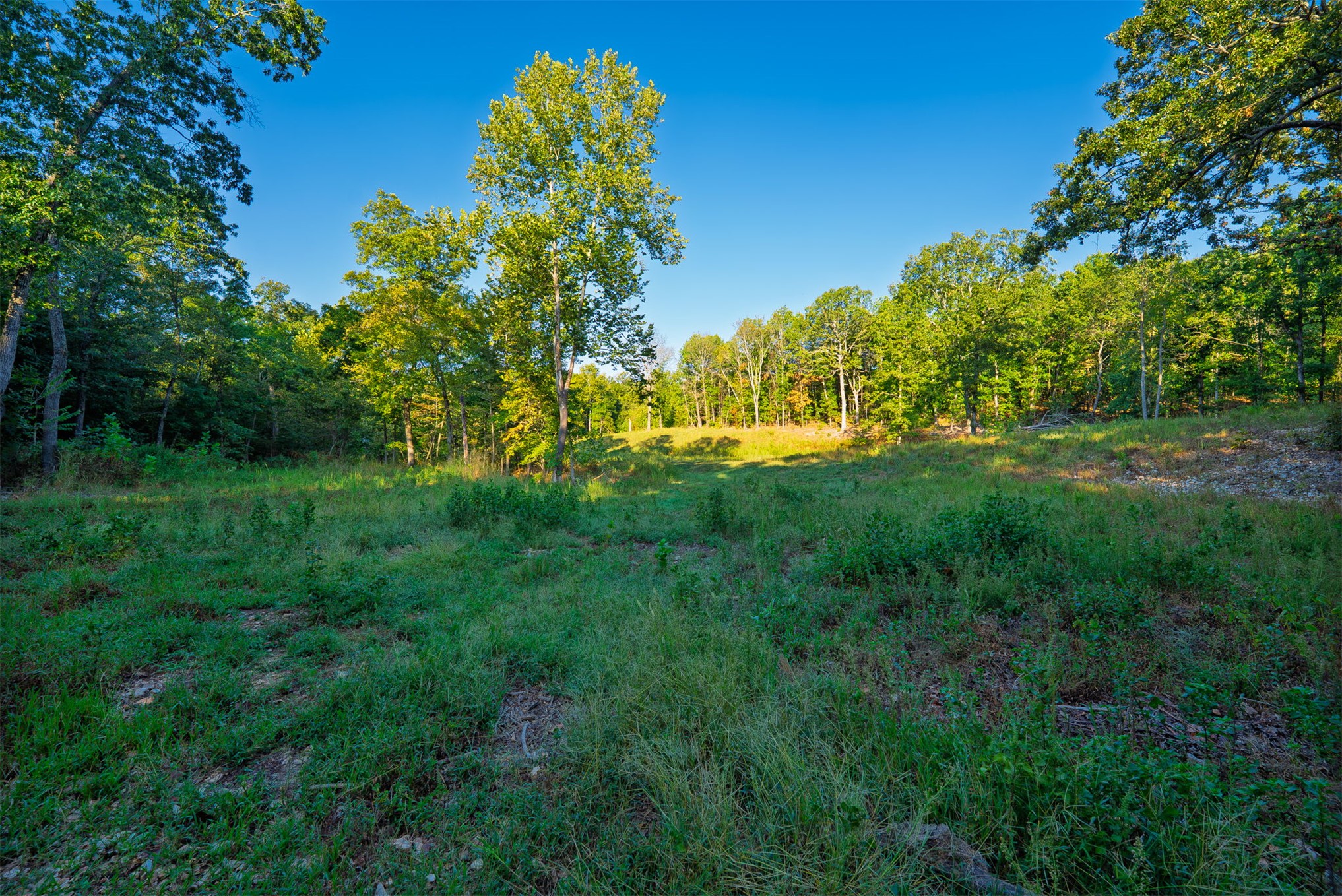 21501 S 705 Road Wyandotte OK 74370