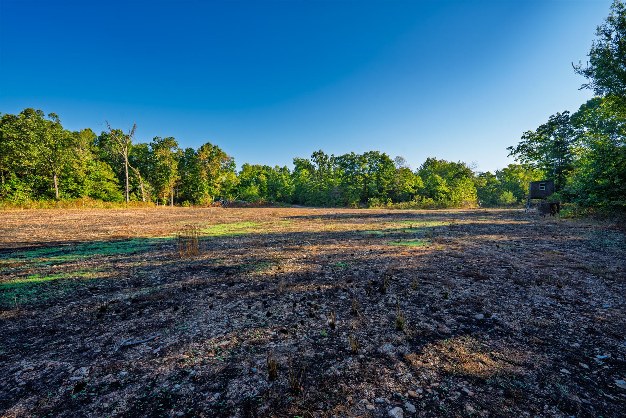 21501 S 705 Road Wyandotte OK 74370