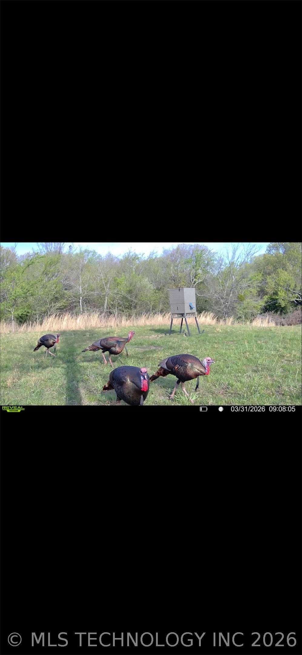 108531 S 4130 Road Checotah OK 74426