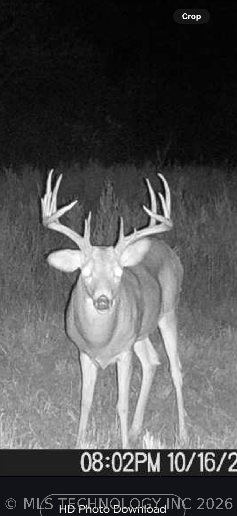108531 S 4130 Road Checotah OK 74426