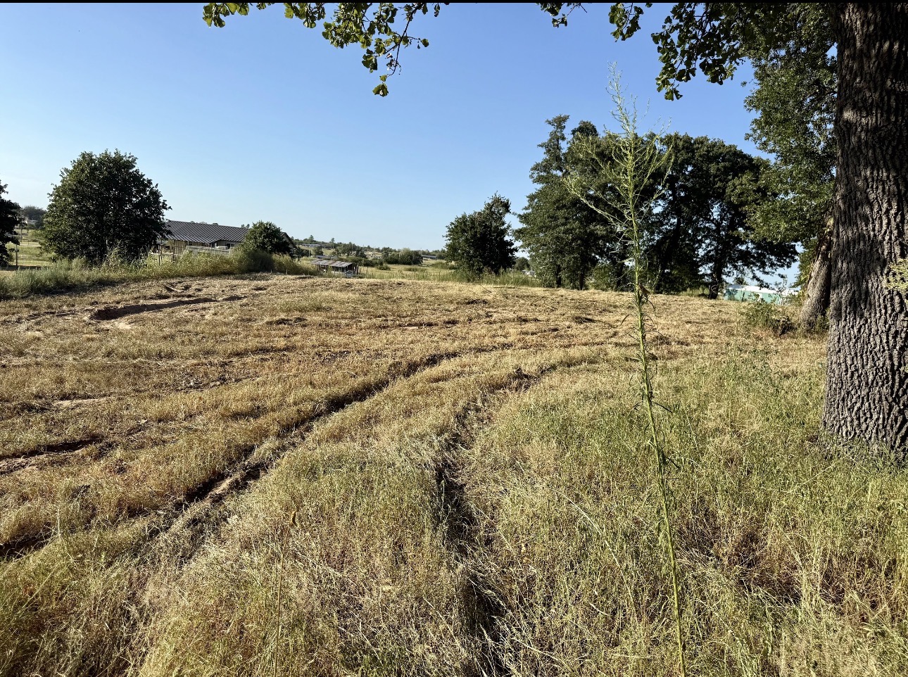 106447 Rodeo Drive Mcloud OK 74851