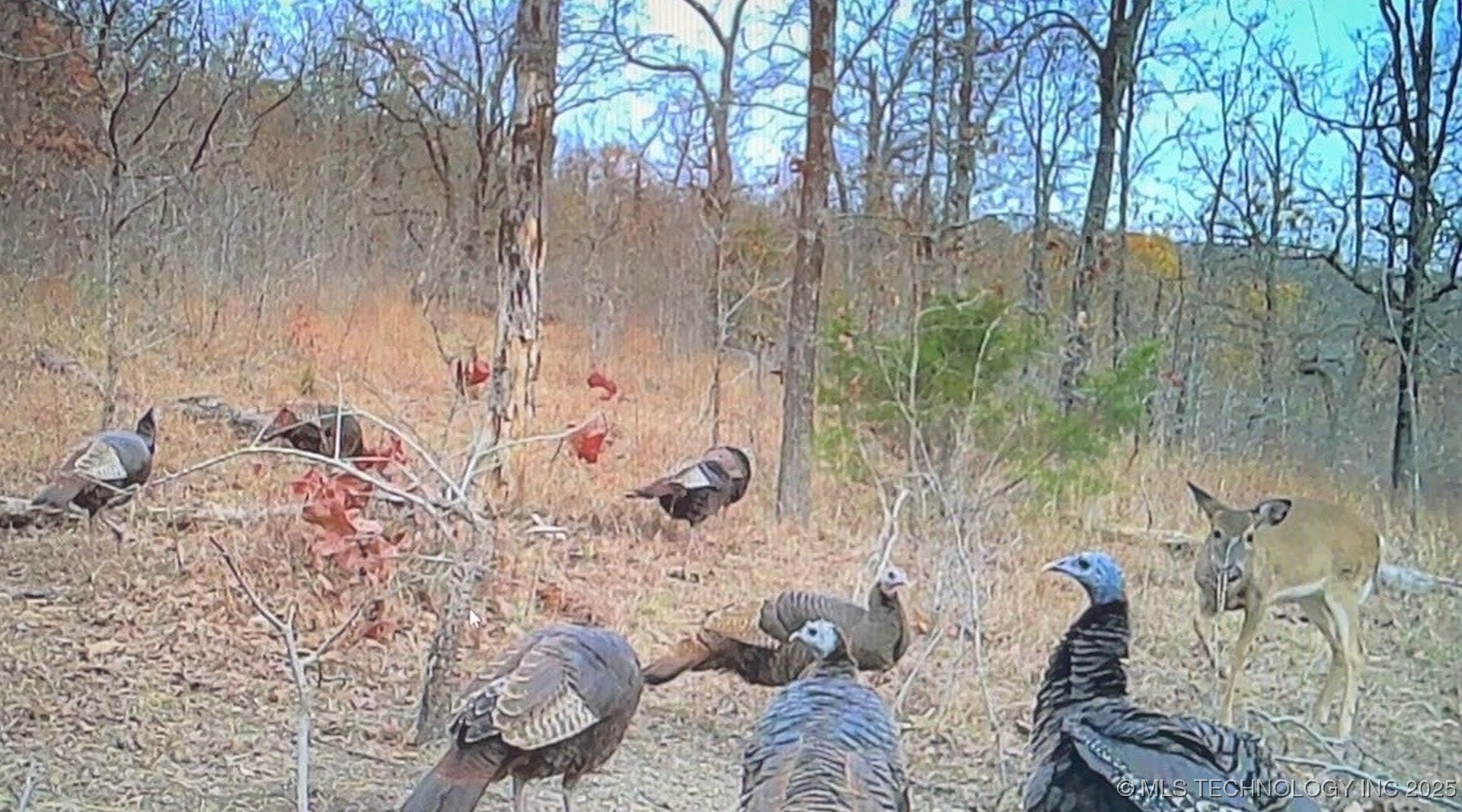 473763 E 993 Road Muldrow OK 74948