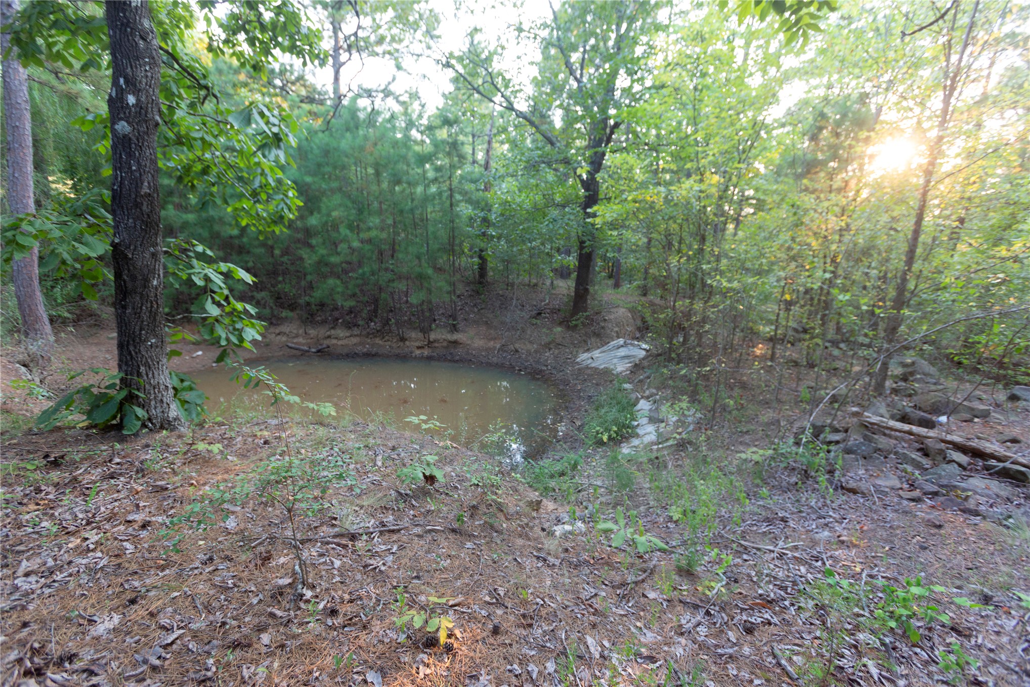 62 SE Highway 1 Wilburton OK 74578