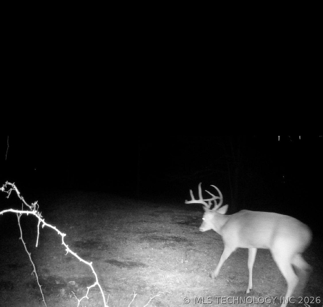 22841 County Road 3620 Stonewall OK 74871