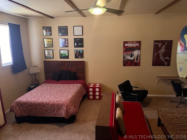 181 Bridlewood Mead OK 74701