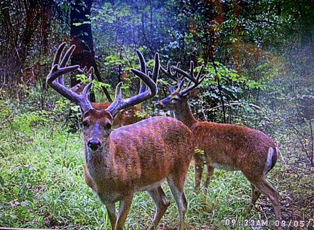 10698 S Childrens Lane Caddo OK 74729