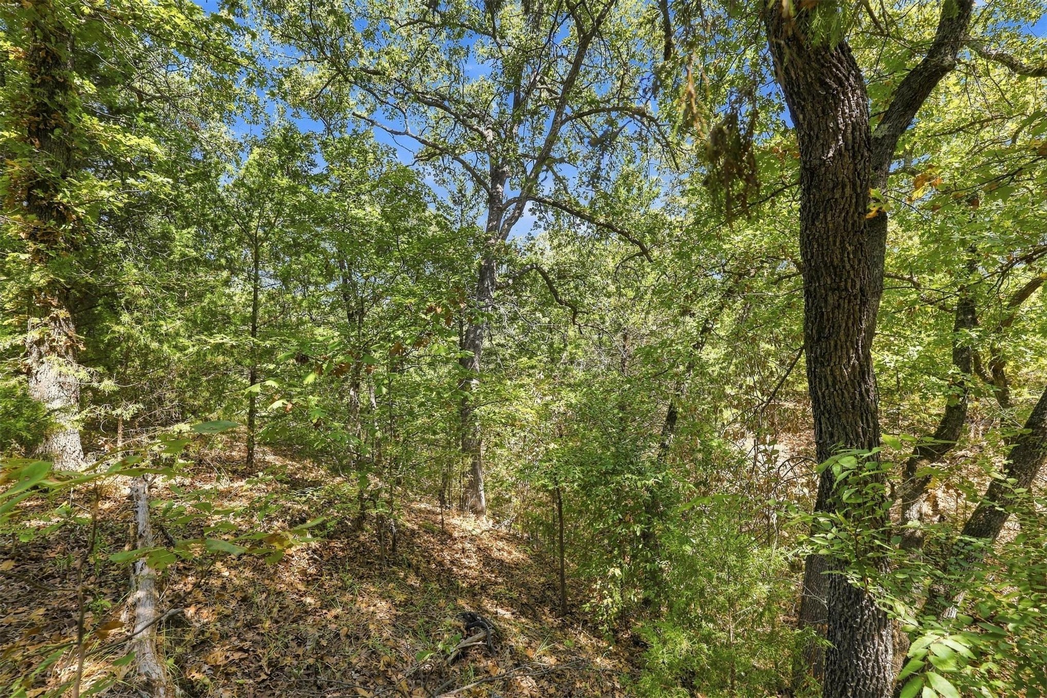 1962 Mainstay Drive Kingston OK 73439