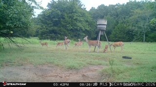 21470 County Road 1590 Stonewall OK 74871