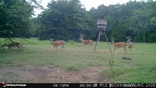 21470 County Road 1590 Stonewall OK 74871