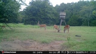 21470 County Road 1590 Stonewall OK 74871